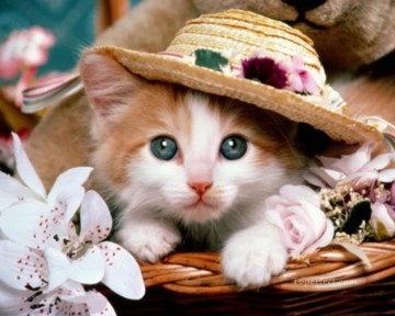 chat dans un chapeau Peinture à l'huile